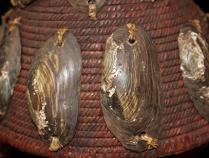 Lega Hat with Shell Adornment MW63 - D.R. Congo 1